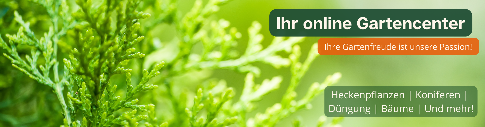 Gardline - Ihr online Gartencenter